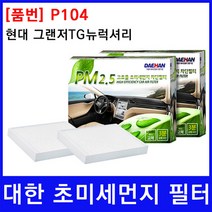 현대 그랜저TG뉴럭셔리 에어컨필터 대한 PM2.5, 상세페이지 참조
