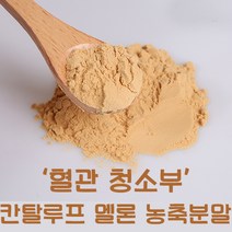칸탈루프 멜론 추출 분말 파우더 가루 500g 칸탈로프 주스 쥬스 차 혈관 건강 메론, 1팩