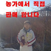 문경오미자 유정농원 오미자청 원액1000ml 당일발송, 1000ml