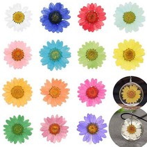 짤순이 세탁 12 Pcs 에폭시 수 지 던 트 목걸이 쥬얼리 공예 DIY 원룸 대용량, Light blue