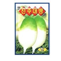 SN월드 뿌리채소 씨앗 무 당근 양파 알타리무 비트 콜라비 과일무, 진주대평무