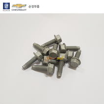 스로틀바디브라켓 고정볼트 10개 P11588712 올란도 크루즈 스파크 (예약주문)