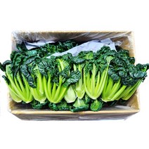 야채24닷컴 비타민채소 다채 500g, 1개