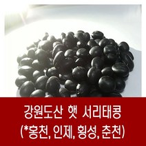 [다온농산] 2022년산 강원도산 햇 서리태콩 -10Kg- 강원도 홍천농가