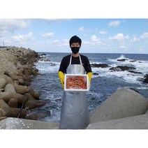 김프로 [산지직송 100%] 품질보장 연지홍게/박달홍게, [산지직송 100%] 품질보장 생물 박달홍게 중1마리