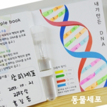 DNA추출법 [동물세포] 10인set