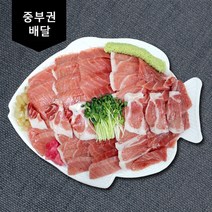 [노량진수산시장]피딜 참치모둠회(중) [참치고급/가마/뱃살/특수부위]