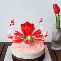 멜로디 연꽃초 생일축하 폭탄초 회전초 인싸 촛불 초, 상세설명 참조, 바이올렛