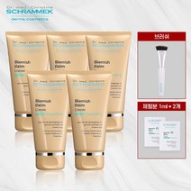 역대최다]독일직수입 슈라멕 블레미쉬밤BB 클래식x5개+브러쉬1, 없음