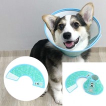 애완용 목보호대 프로텍션 커버 컬러디자인 강아지보조기 강아지슬개골탈구증상 강아지디스크, 6호