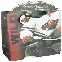 Turner Licensing Sport Minnesota Wild Large Gogo Gift Bag (8931036), 1