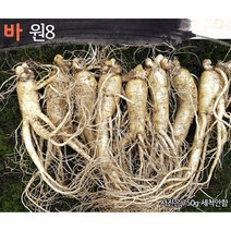 햇수삼!! 삼키우는마을 고려수삼 세척 무세척 수삼 가정용, 바.원8-700g-무료세척
