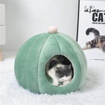 dp 애구애구 숨숨집 호박돔 하우스 민트색 고양이집