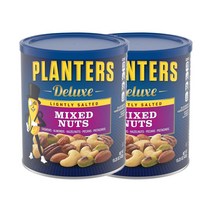 플랜터스 Planters 디럭스 라이틀리 솔티드 믹스 넛 위드 캐슈 아몬드 헤이즐넛 피칸 앤 피스타치오 15.25oz 2팩 총 862g