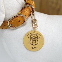 강아지 고양이 베지터블 가죽 일러스트 인식표 이름표, 골드(소), 오렌지