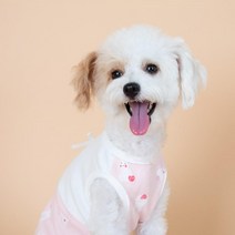 러브래빗 투톤 티셔츠 핑크 하얀토끼 말티푸 닥스훈트 강아지데일리티셔츠 댕댕이옷, XL