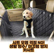 최강몰 바비숑 멍뭉 중형견 대형견 강아지 반려견 펫 카시트 승용차 사이즈