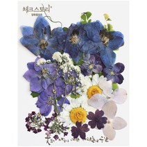 압화 컬러믹스 종합팩 꽃모음 17종 압화공예 액자 레진공예, 진블루1