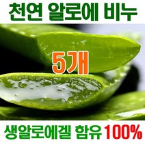 [오후5시 당일발송] 고농축 생 알로에천연비누 촉촉촉 보습진정 에너지 세수비누 비누 알로에 아이보리 세안비누 천연 얼굴 YB맘, 100mg, 5개