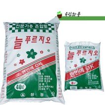 유림화훼자재상사 대용량 분갈이흙 전문가용 분갈이혼합토 유림화분 늘푸르지오(40리터), 1개
