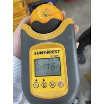 탐라인 신품종 고당도 설국향 수라향 신비향 아스미 아스키 가정용 10kg, 1box