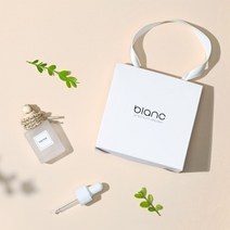 블랑16 차량용 차안 냄새제거 천연 디퓨저 방향제 새차 신차 선물 세트, 사케(복숭아)