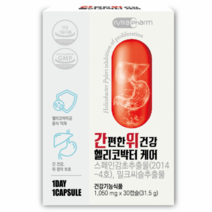 위에좋은영양제 헬리코박터균 위점막보호제 스페인감초추출물 위영양제, 헬리코박터케어 30캡슐 (1개월분)