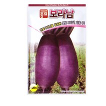 SN월드 뿌리채소 씨앗 무 당근 양파 알타리무 비트 콜라비 과일무, 보라남(자색무)