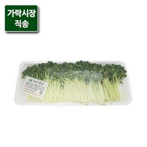 가락시장직송 무순 130g, 없음, 1개