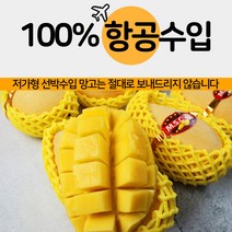 프리미엄 망고 태국 골드망고, 2kg(5-6개)