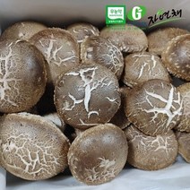 무농약 백화송이향 버섯 500g, 단품