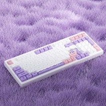 JINUS 레이저키보드 무접점키보드 RGB 기계식 YUNZII 라벤더 토끼 키캡 세트 XDA 프로필, [01] Keycaps
