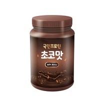 국민프로틴 WPI 게이너 초코맛 살찌는보충제 탄수화물 단백질 1kg, 1000g x 1개