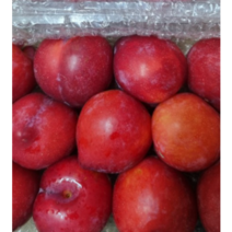 최상급 자두 2kg 18과 내외 고당도 산지직송 로얄과 새콤달콤 자두 후무사자두 자두과일 후무사, 1개