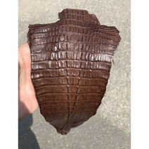 카이만 악어가죽 자투리 (특피 가죽공예), A:악어자투리, 브라운