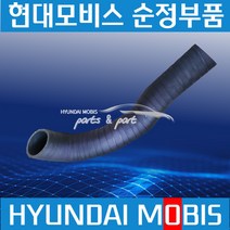 트라고 라바호스 라디에이터 호스 하단 현대모비스 순정 254127M000