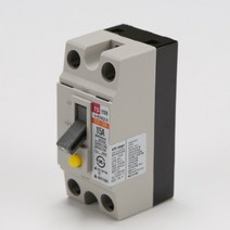 누전차단기TCE 32H 2P 15A 2.5KA 5개묵음
