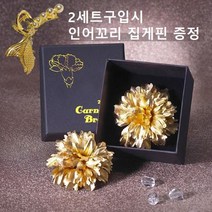 24K 금카네이션 꽃 어버이날 꽃브로치 순금 선물(인어 꼬리 진주집게핀 증정)