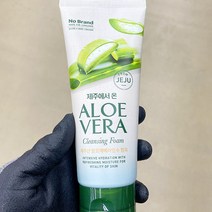 서울화장품 제주에서 온 알로에 베라 클렌징 폼 200ml x 2개, 단품, 단품