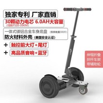 호버보드 전동휠 두발전동휠 동적 전기 균형 지능 인치 자기 스쿠터 호버 보드, 18