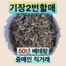 기장 생멸치 소금간 15kg 30kg - 통 멸치젓 부산 대변항 액젓 김장, 22년 봄 햇멸치 15kg