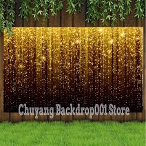 포토부스대여 검은 색과 금색 반짝이 배경 생일 파티 사진 배경 사진 부스 촬영보조용품, 비닐 240x180cm