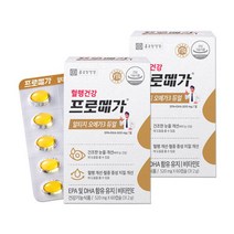 프로메가 알티지오메가3 듀얼 520mg x 60캡슐 x 2박스
