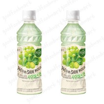 웅진 자연은 샤인머스캣 340ml (48펫), 단품, 단품