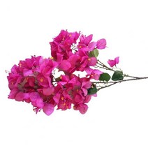 인테리어 조화 실크 부겐빌레아 glabra 꽃 부겐빌레아 speetabilis 꽃 가지, 자줏빛을 띤 빨강