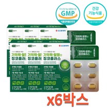 수험생 영양제 기억력 개선 에 도움 은행잎추출 플라보놀 500mg 30정 6박스