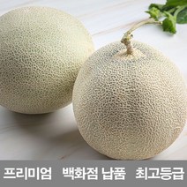 영화청과 국내산 멜론 4kg 프리미엄 백화점 남품, 쿠팡 최고의상품 1, 쿠팡 최고의상품 본상품선택