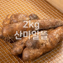 태산농장 마 안동마, 2kg (1개), 1개