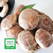 [더자연] 산해리 경북 영양 무농약 버섯 착한 송이 500g 상품, 상세 설명 참조