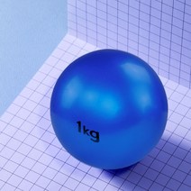 베어플 요가 필라테스 토닝볼 1kg, 블루, 2개